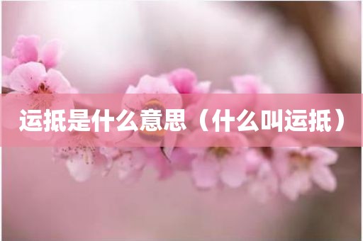 运抵是什么意思（什么叫运抵）