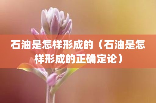 石油是怎样形成的（石油是怎样形成的正确定论）