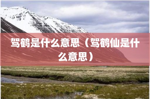 驾鹤是什么意思（驾鹤仙是什么意思）