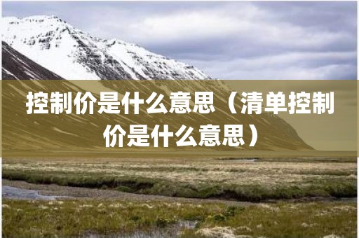 控制价是什么意思（清单控制价是什么意思）