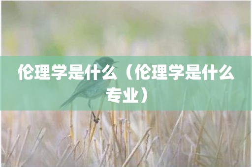 伦理学是什么（伦理学是什么专业）