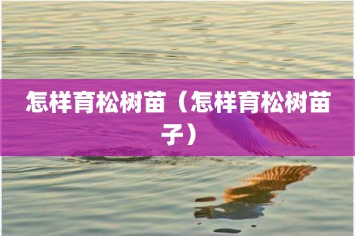 怎样育松树苗（怎样育松树苗子）