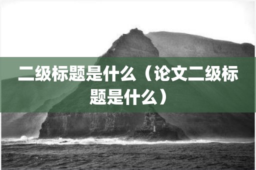 二级标题是什么（论文二级标题是什么）
