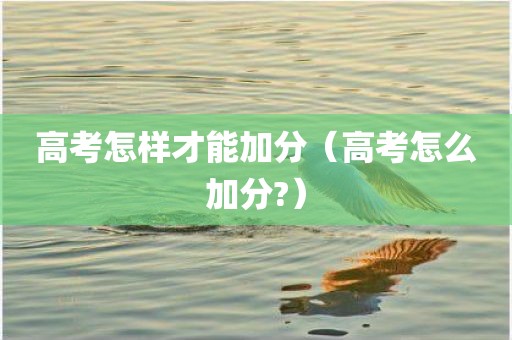 高考怎样才能加分（高考怎么加分?）