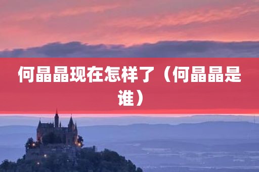 何晶晶现在怎样了（何晶晶是谁）