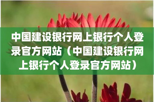 中国建设银行网上银行个人登录官方网站（中国建设银行网上银行个人登录官方网站）