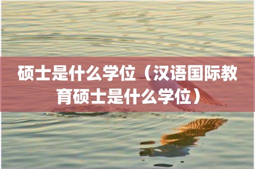 硕士是什么学位（汉语国际教育硕士是什么学位）