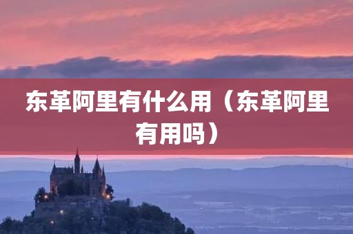 东革阿里有什么用（东革阿里有用吗）