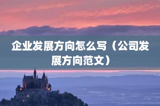 企业发展方向怎么写（公司发展方向范文）