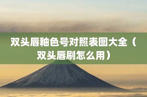 双头唇釉色号对照表图大全（双头唇刷怎么用）