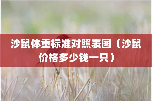 沙鼠体重标准对照表图（沙鼠价格多少钱一只）