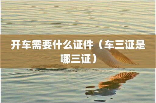 开车需要什么证件(车三证是哪三证)