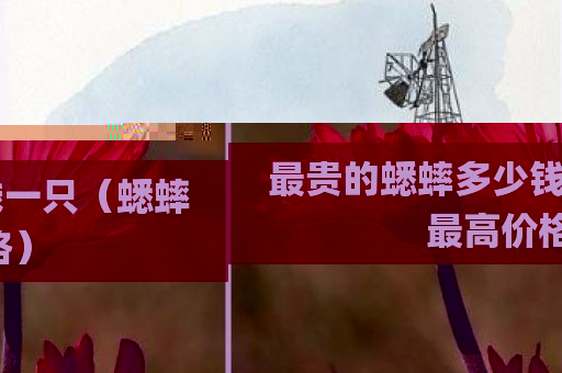 最贵的蟋蟀多少钱一只（蟋蟀最高价格）