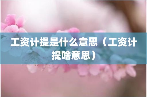 工资计提是什么意思（工资计提啥意思）