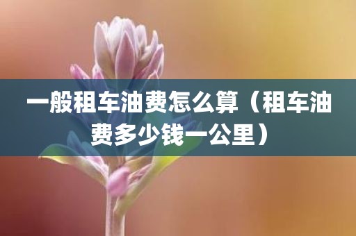一般租车油费怎么算（租车油费多少钱一公里）
