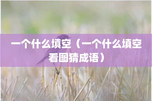 一个什么填空（一个什么填空看图猜成语）