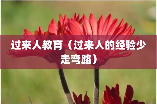 过来人教育（过来人的经验少走弯路）
