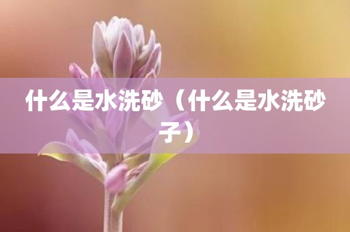 什么是水洗砂（什么是水洗砂子）
