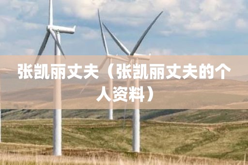 张凯丽丈夫（张凯丽丈夫的个人资料）