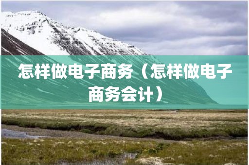 怎样做电子商务（怎样做电子商务会计）