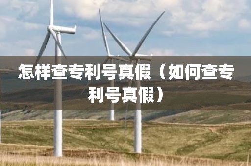 怎样查专利号真假（如何查专利号真假）