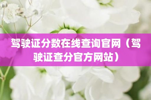 驾驶证分数在线查询官网（驾驶证查分官方网站）