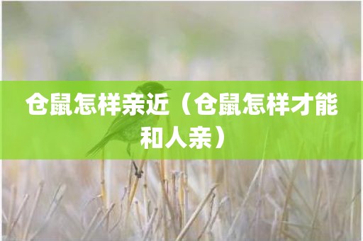 仓鼠怎样亲近（仓鼠怎样才能和人亲）