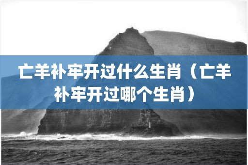 亡羊补牢开过什么生肖（亡羊补牢开过哪个生肖）