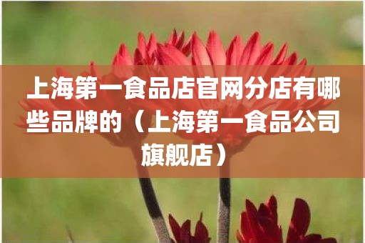 上海第一食品店官网分店有哪些品牌的(上海第一食品公司旗舰店)