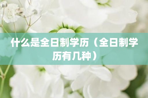 什么是全日制学历（全日制学历有几种）