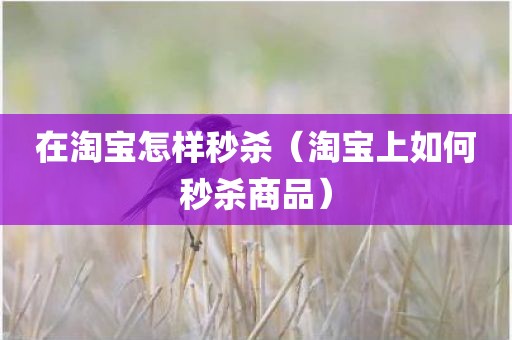 在淘宝怎样秒杀（淘宝上如何秒杀商品）