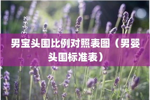 男宝头围比例对照表图（男婴头围标准表）