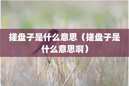 搓盘子是什么意思（搓盘子是什么意思啊）