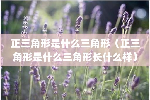 正三角形是什么三角形（正三角形是什么三角形长什么样）