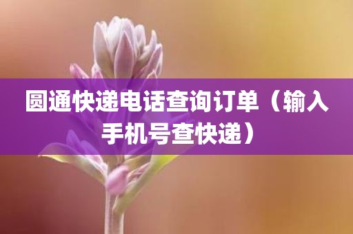 圆通快递电话查询订单（输入手机号查快递）