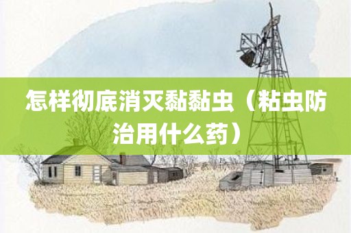 怎样彻底消灭黏黏虫（粘虫防治用什么药）
