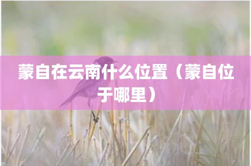 蒙自在云南什么位置（蒙自位于哪里）