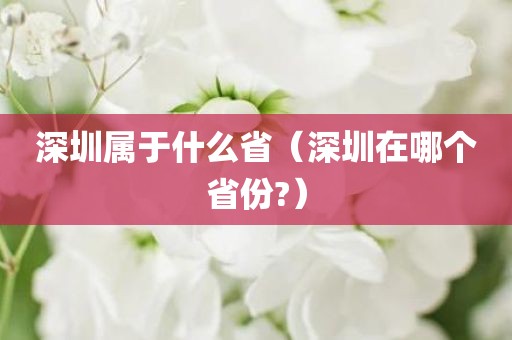 深圳属于什么省（深圳在哪个省份?）