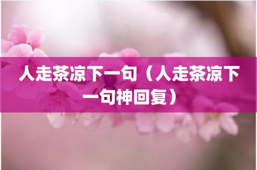 人走茶凉下一句（人走茶凉下一句神回复）