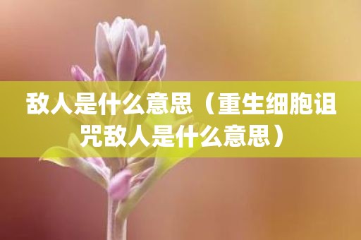 敌人是什么意思（重生细胞诅咒敌人是什么意思）