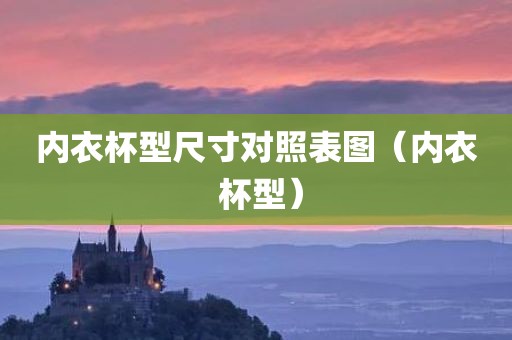 内衣杯型尺寸对照表图（内衣 杯型）