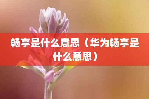 畅享是什么意思（华为畅享是什么意思）