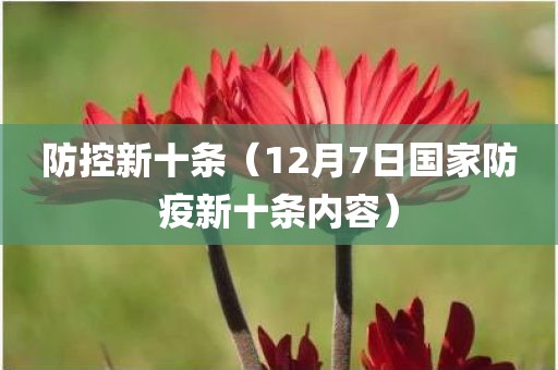 防控新十条(12月7日国家防疫新十条内容)