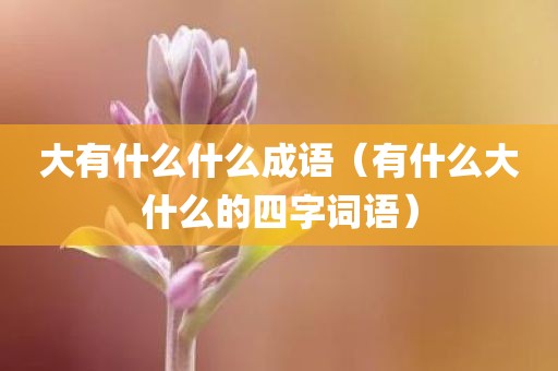 大有什么什么成语（有什么大什么的四字词语）