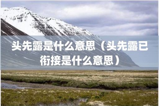 头先露是什么意思（头先露已衔接是什么意思）