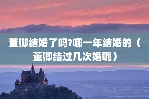 董卿结婚了吗?哪一年结婚的（董卿结过几次婚呢）