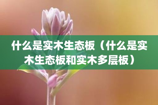 什么是实木生态板（什么是实木生态板和实木多层板）