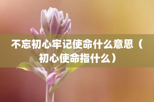 不忘初心牢记使命什么意思（初心使命指什么）