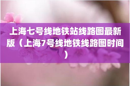 上海七号线地铁站线路图最新版（上海7号线地铁线路图时间）