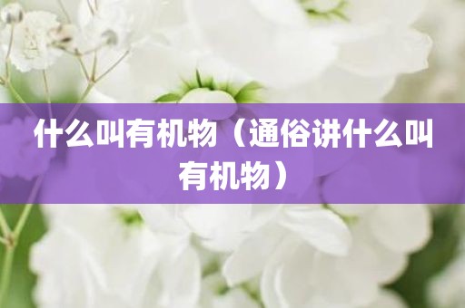 什么叫有机物（通俗讲什么叫有机物）